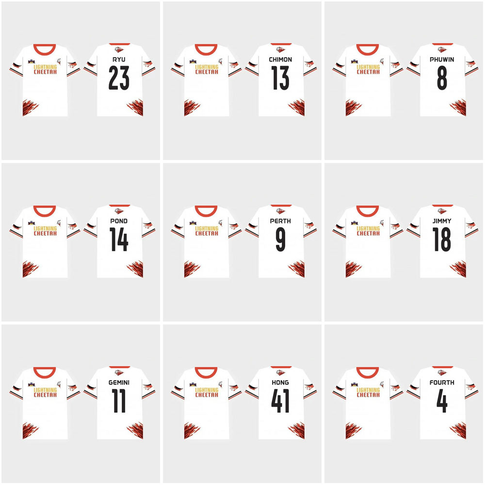 Camisetas de Manga Corta con E - Thai Silk Blouse reseña y precio